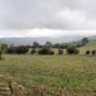 Paysage avant Saint-Chély-d'Aubrac (crédit photo M. Jérémie).